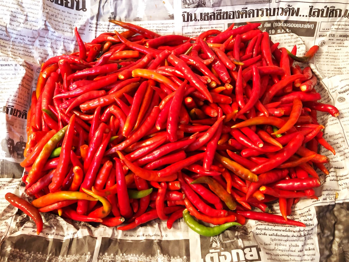Chiles tailandeses: variedades, nivel de picante y equivalencias con chiles hispanos