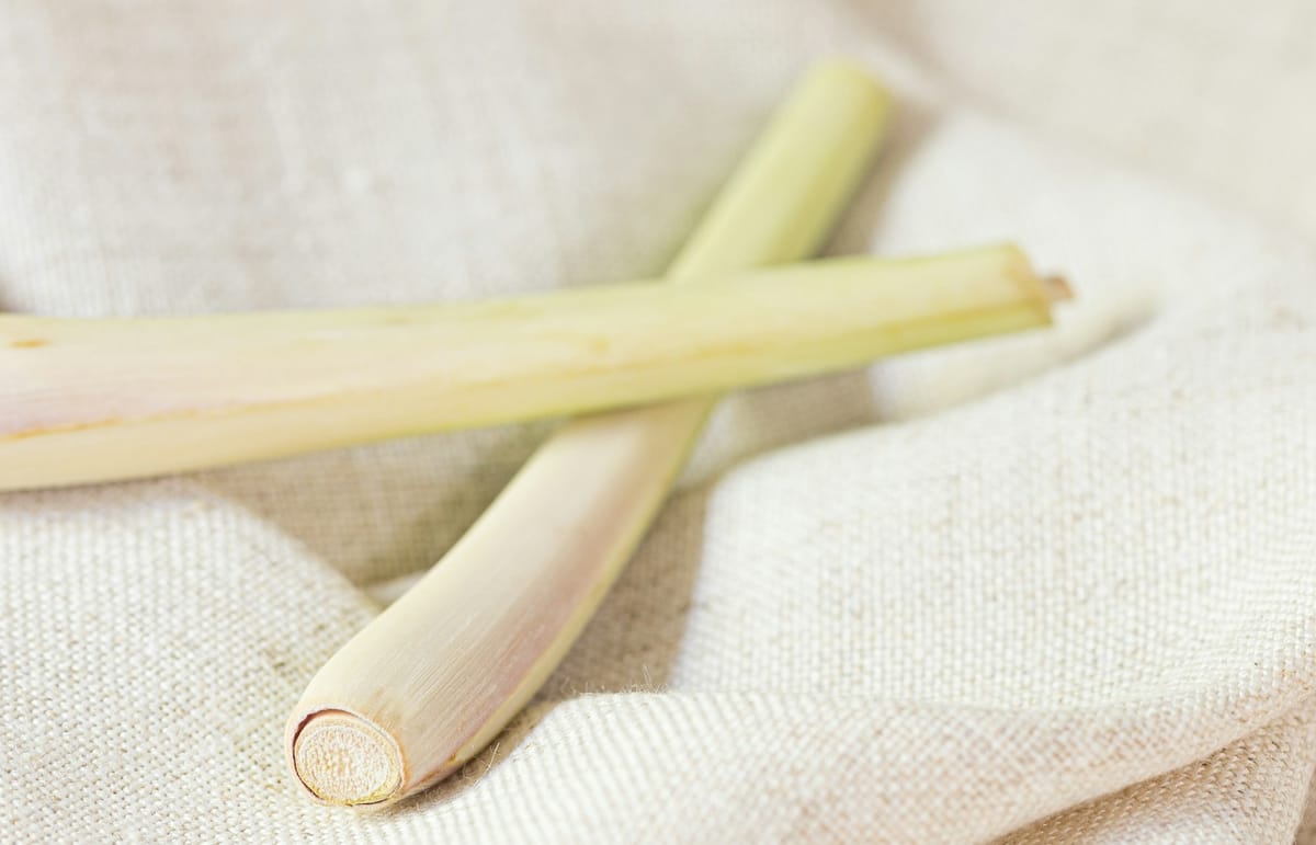 Hierba limón: el ingrediente esencial de la gastronomía tailandesa